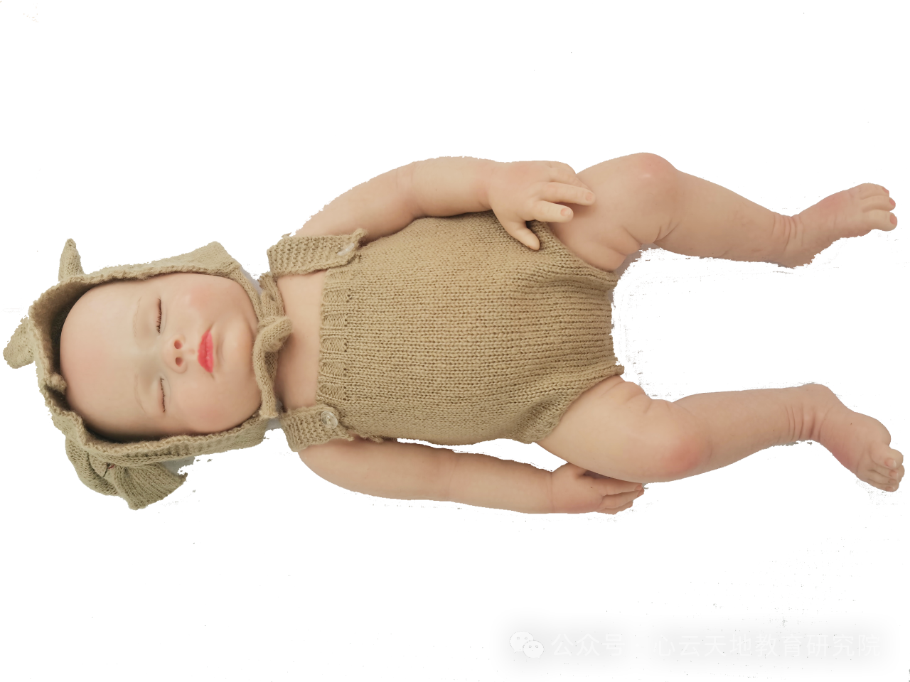 微信图片_20250513100248.png